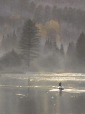 Join our National Art Portfolio
