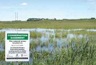 Conservation Easements