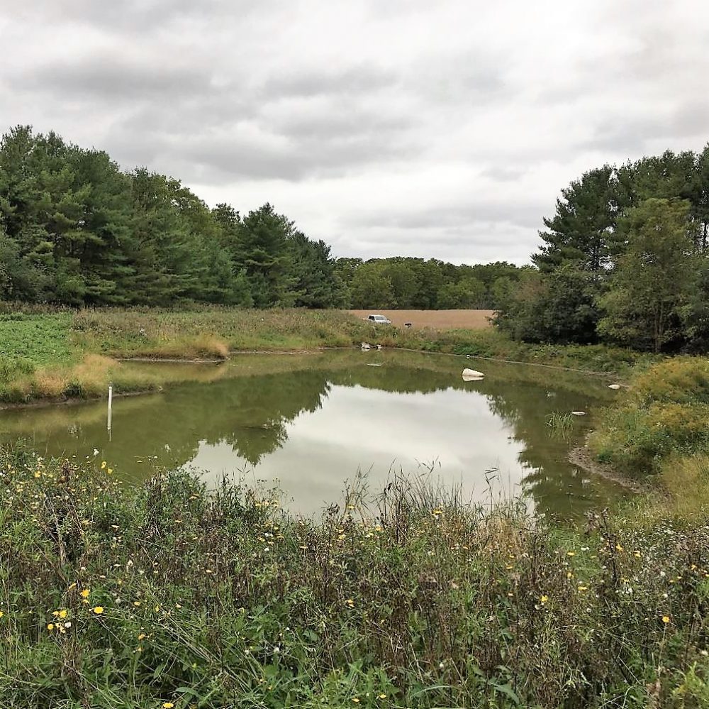 One of eight wetland study sites in the Lake Erie watershed.