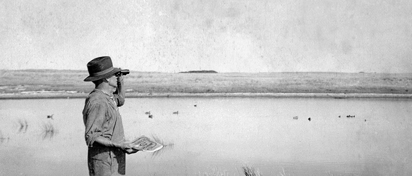 An early Keeman counts ducks.