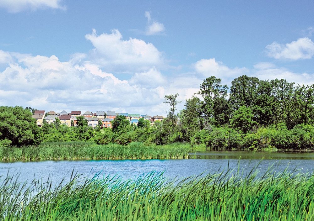 Big News for Ontario Wetlands