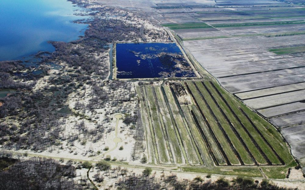 Commune BaieduFebvre — Ducks Unlimited Canada