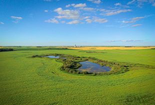 Manitoba Prairie Wetland Classification Guide
