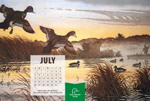 2020 Desktop Calendar Downloads