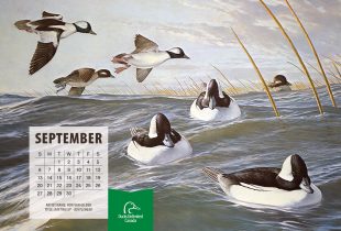 2020 Desktop Calendar Downloads