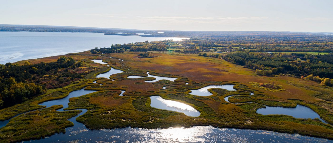 Coastal Habitat for Fish & Waterfowl
