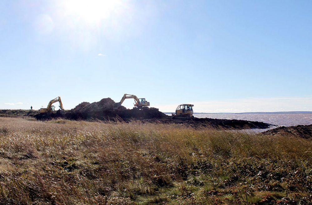 Heavy equipment breach dyke for salt marsh restoration