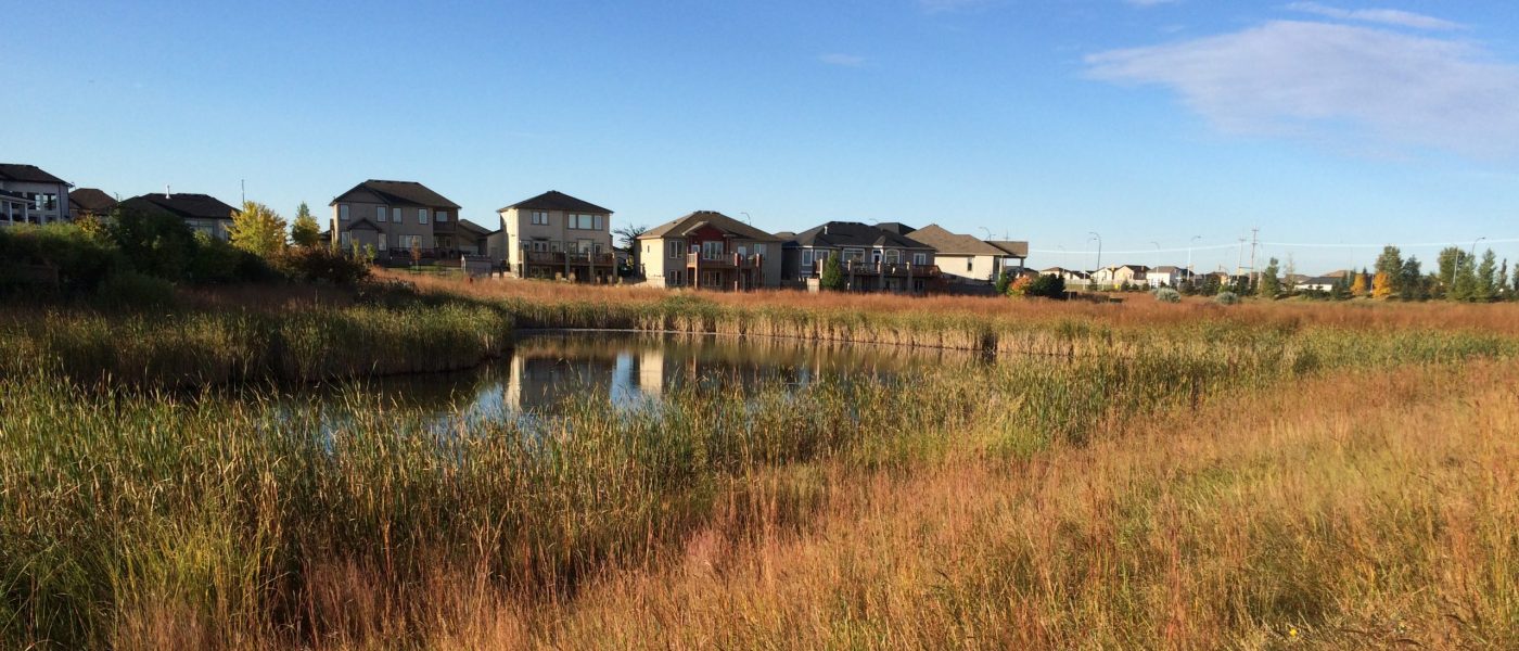 Natural Infrastructure for a Climate-ready Ontario