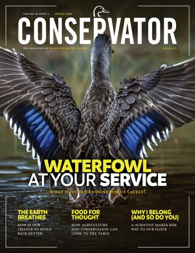 Conservator Magazine