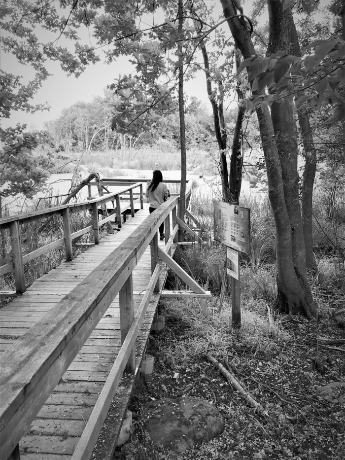 Interpretive trails and a