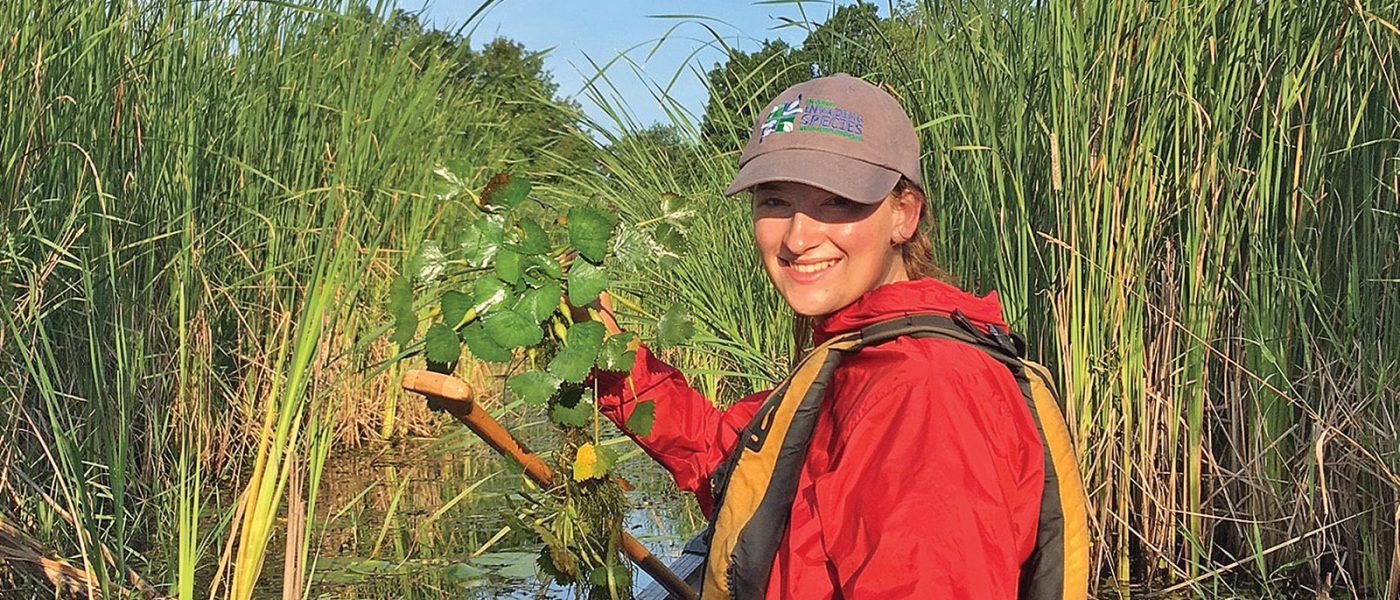 Lilly Auty pulls invasive European water chestnut along the shores of Wolfe Island near Kingston.