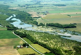 Conservation synergy