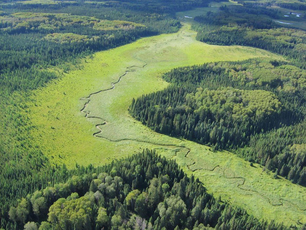 As part of the 6.2 million acres of Manitoba’s boreal forest falling under the new conservation agreement between LP and DUC, highly productive wetland complexes like these will be conserved for the many benefits they provide. Conserving wetlands in this area will ensure the landscape continues to be productive by filtering water, acting as carbon storage to mitigate climate change and serve as crucial habitat for waterfowl.