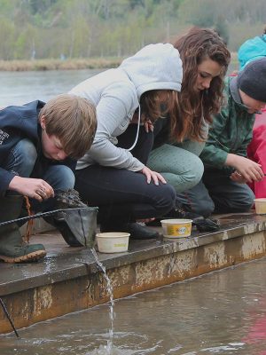 Wetland Activities