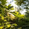 St. Luke’s Marsh: a coastal gem, protected in perpetuity
