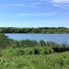 Ducks Unlimited Canada Celebrates Habitat Secured on Howe Island
