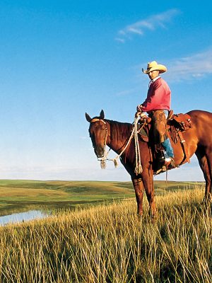 Resources for Landowners