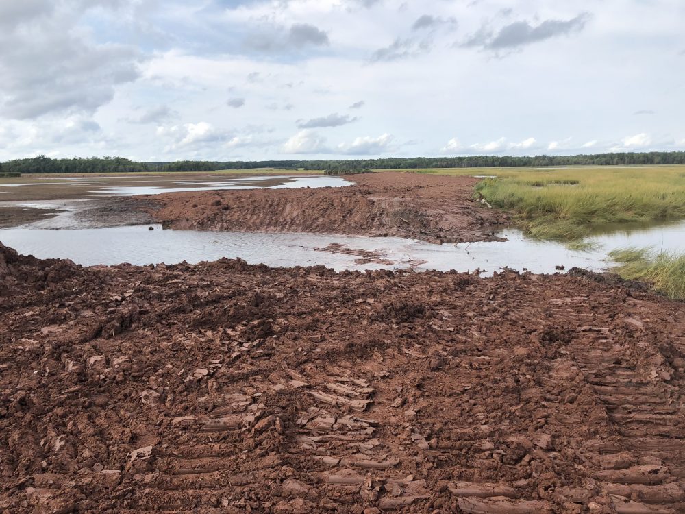 Mudflats and channel after levelling and breaching the dike.