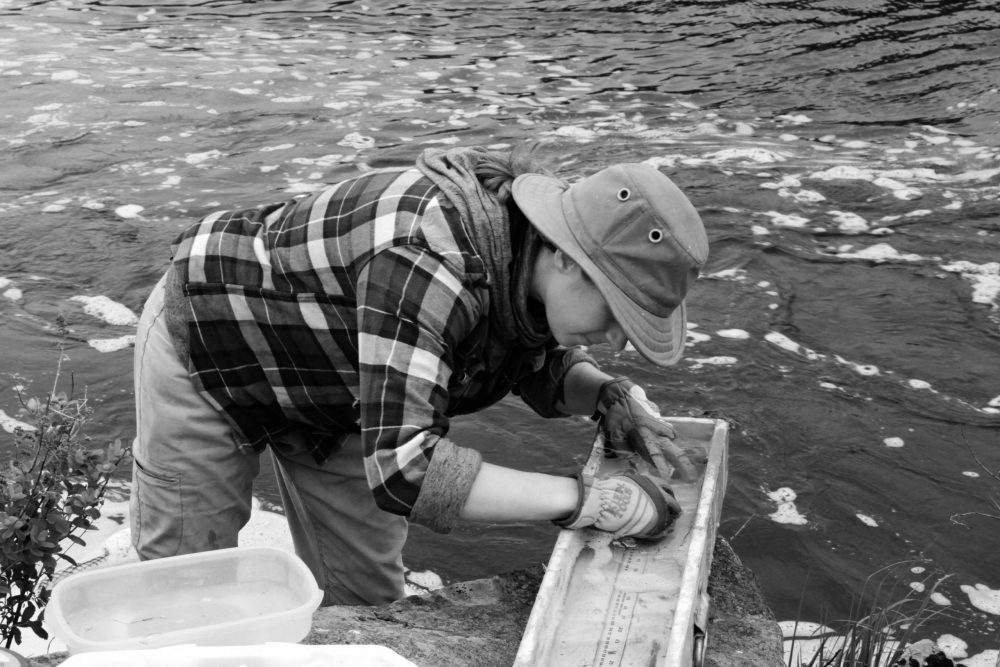 Biodiversity goals and targets for Canada - blogger.com