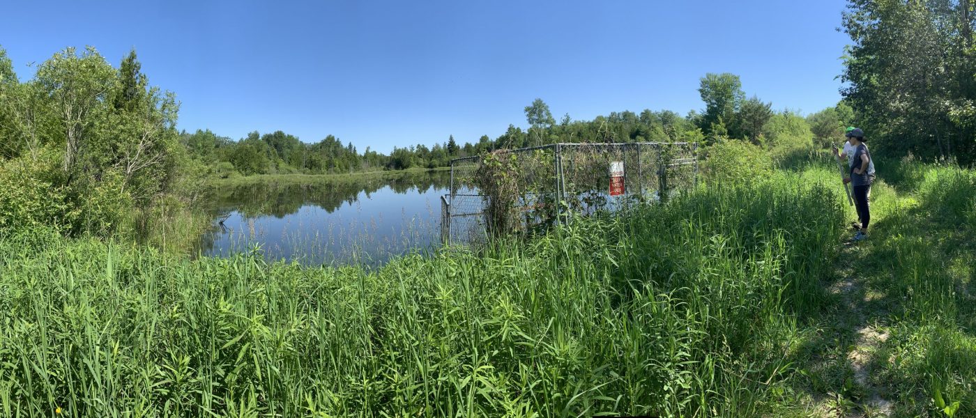 I learned wetlands are hard to build. Really hard. It’s better to keep the wetlands we have than build new ones.