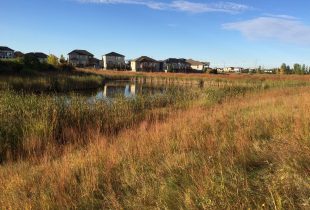 Habitat Restoration Consulting Services
