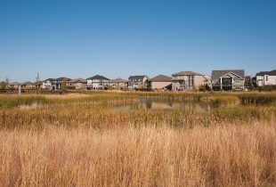 New report signifies a big step toward wetland conservation in Ontario