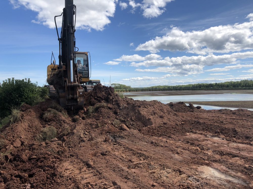 Levelling the dike in late summer.