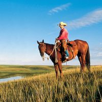 Share your Land