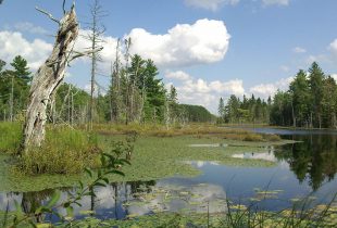 High-tech mapping in Newfoundland and Labrador