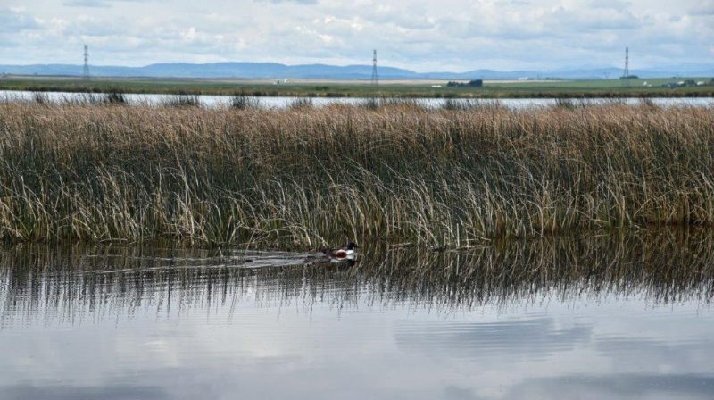Plans to re-open Frank Lake, Clifford E. Lee to public underway