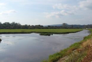 genstar wetlands fraser river 1