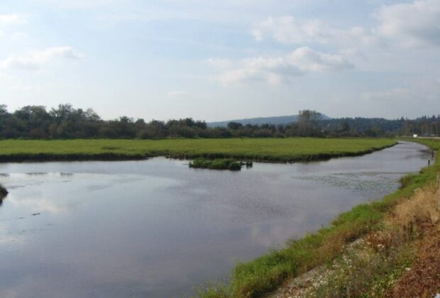 genstar wetlands fraser river 1