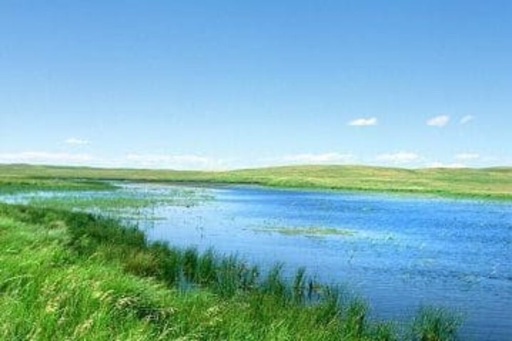 DUC receives $11.6 million in WRRP funds for wetland restoration