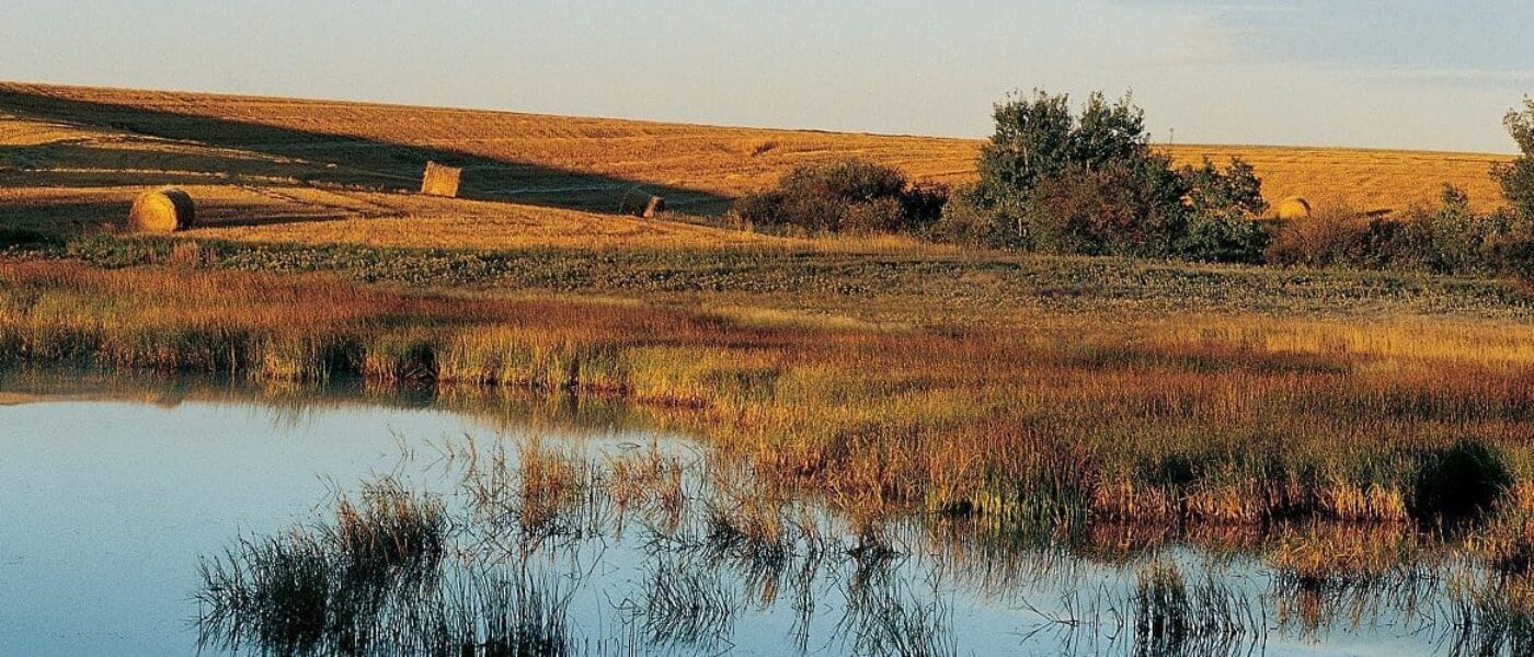 Investments in on-farm conservation work are the future of maintaining wildlife habitat on farmland in Canada.