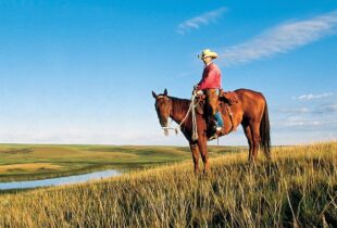 Resources for Landowners