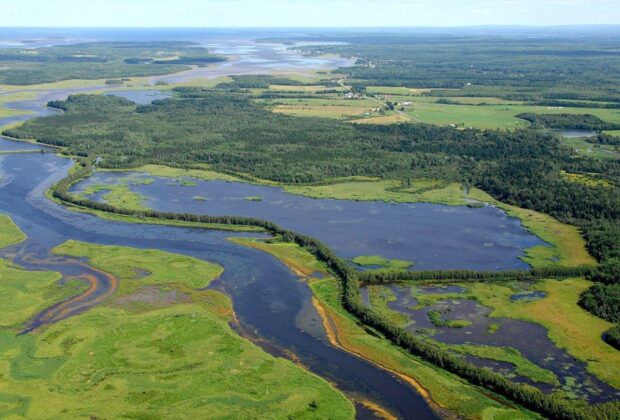 Ducks Unlimited Canada partners with Irving Oil, University of Toronto Scarborough and other top Canadian academics to advance climate research and reduce greenhouse gas emissions