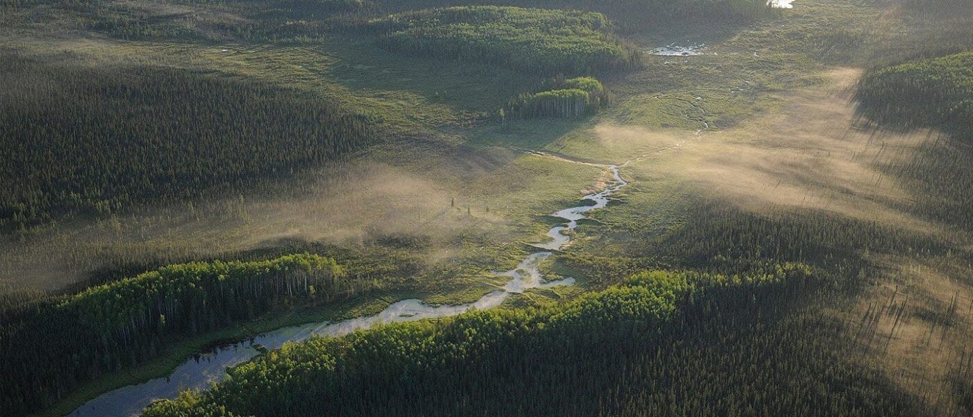 Aerial view of Boreal Forest in Canada.
