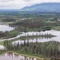 Institute for Wetland & Waterfowl Research