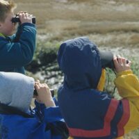 Education and engagement