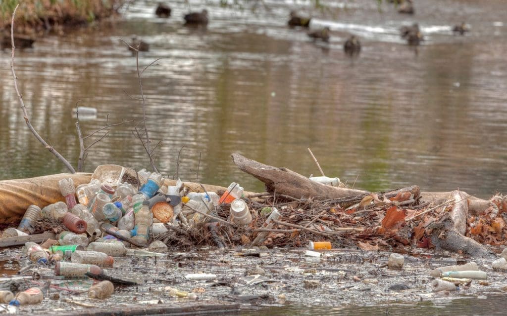 Garbage in PEI wetland