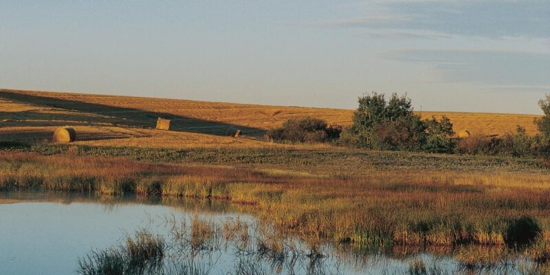Prairie Pothole Region
