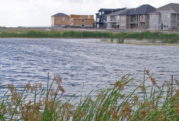 Urban wetlands make cities more livable