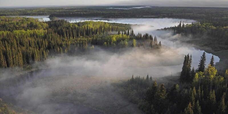 Canada’s Boreal