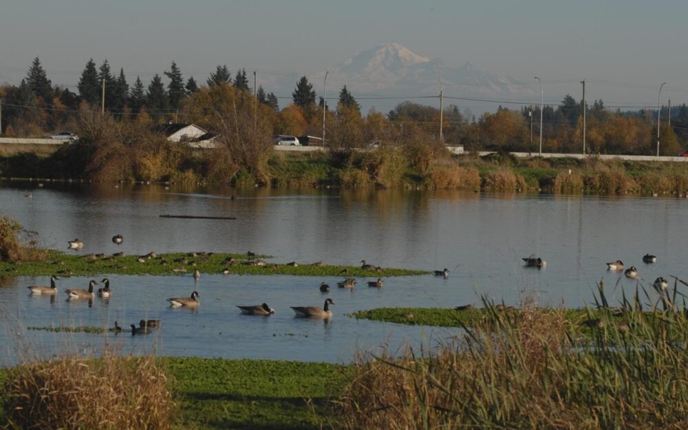 Cowichan Bay Farm