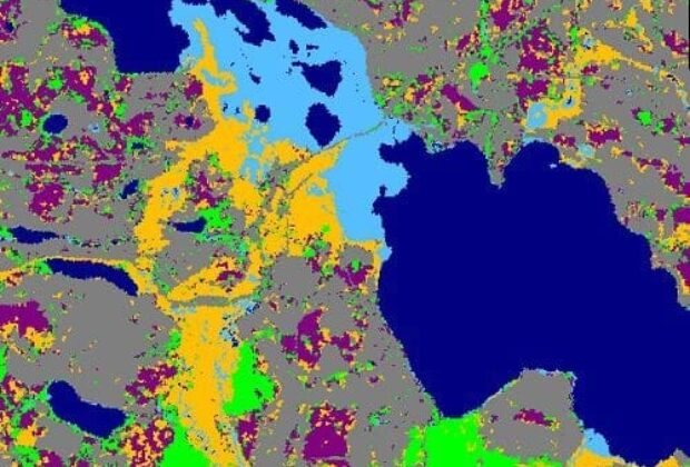 Field Guide to the Wetlands of the Boreal Plains Ecozone of Canada