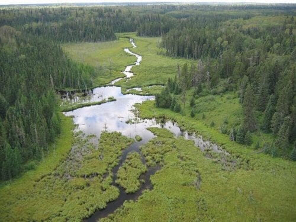 New National Field Guide Helps Wetlands and Forest Roads Coexist Using a Modern Spin on Old Methods