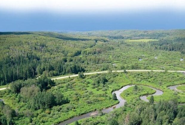 Operational Guide for Forest Road Wetland Crossings