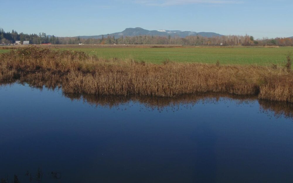 Serpentine Wildlife Management Area