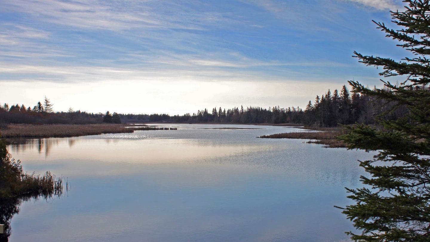 Nova Scotia wetland