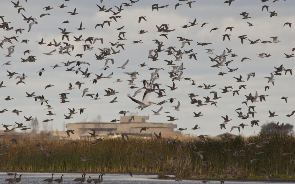 Oak Hammock Marsh